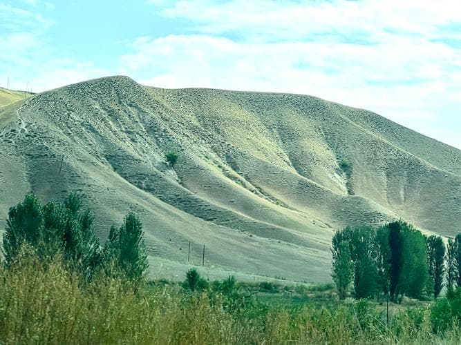 Xinjiang Laghman: The Hand-Pulled Noodle Every Self-Driver Should Know