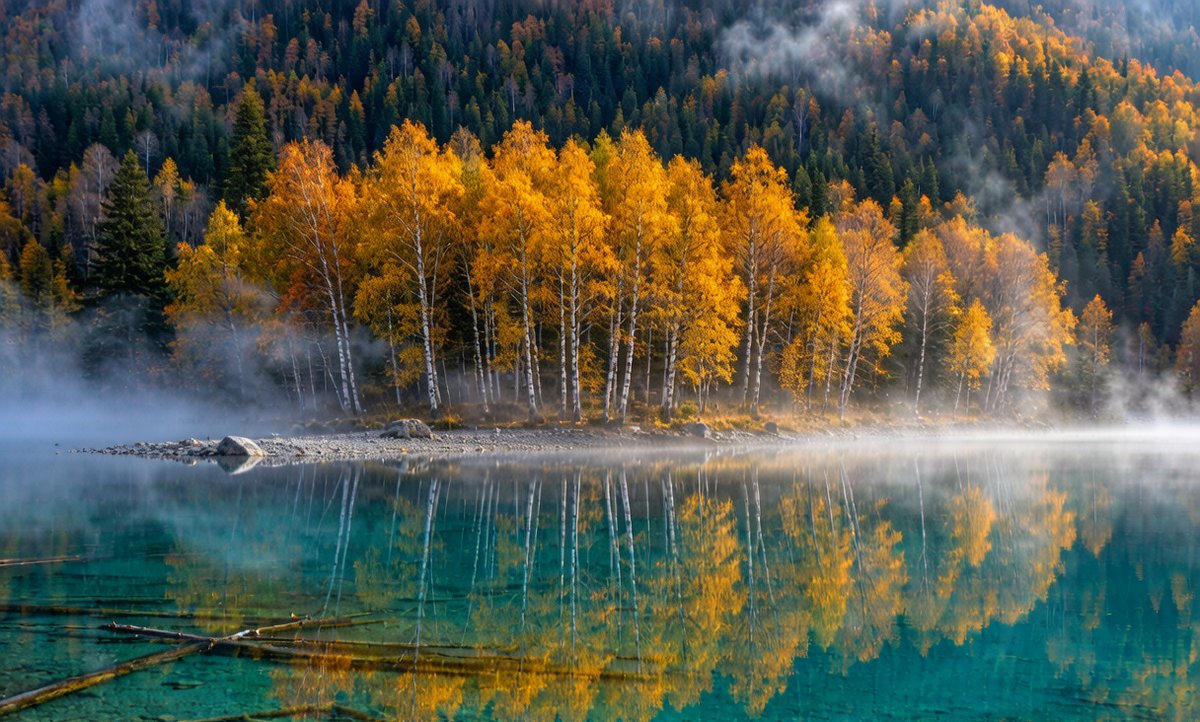 Kanas Lake in autumn with golden birch forest reflected in turquoise water