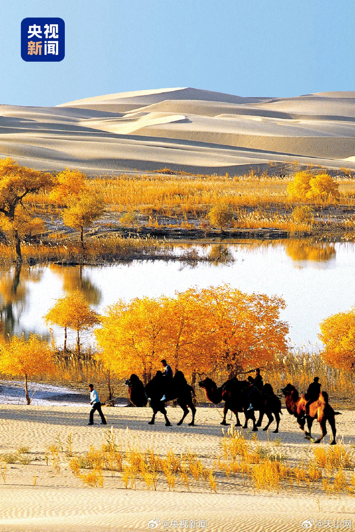 Where to Stay in Aksu: Oasis Hotels at the Gateway to the Taklamakan & Wensu Canyon